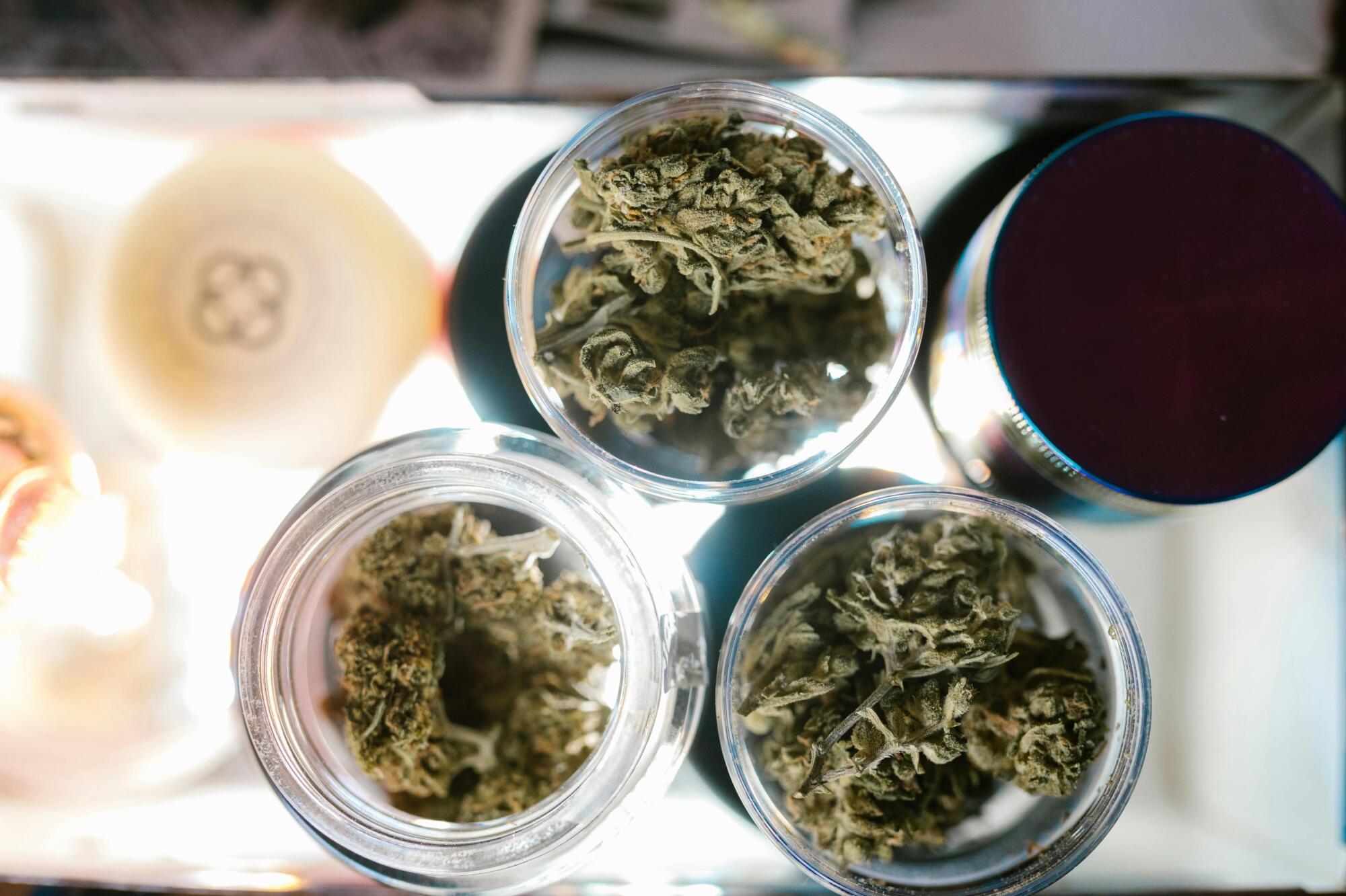 Navigating Cannabis Use for Personal Wellness